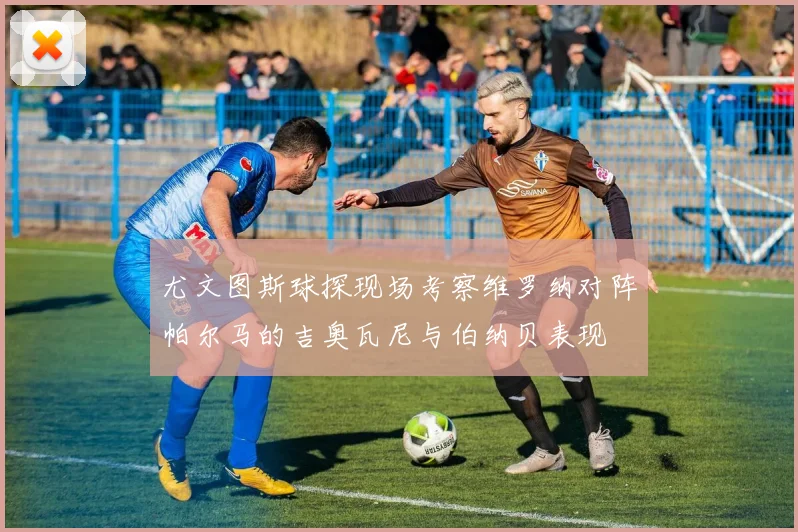 尤文图斯球探现场考察维罗纳对阵帕尔马的吉奥瓦尼与伯纳贝表现