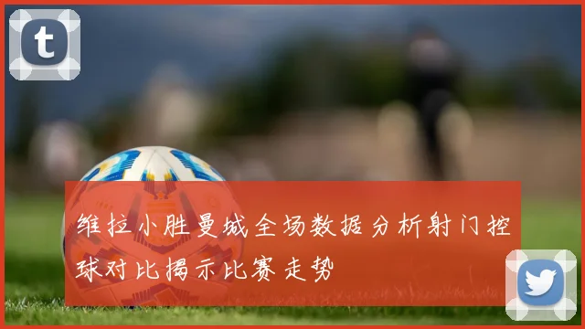 维拉小胜曼城全场数据分析射门控球对比揭示比赛走势