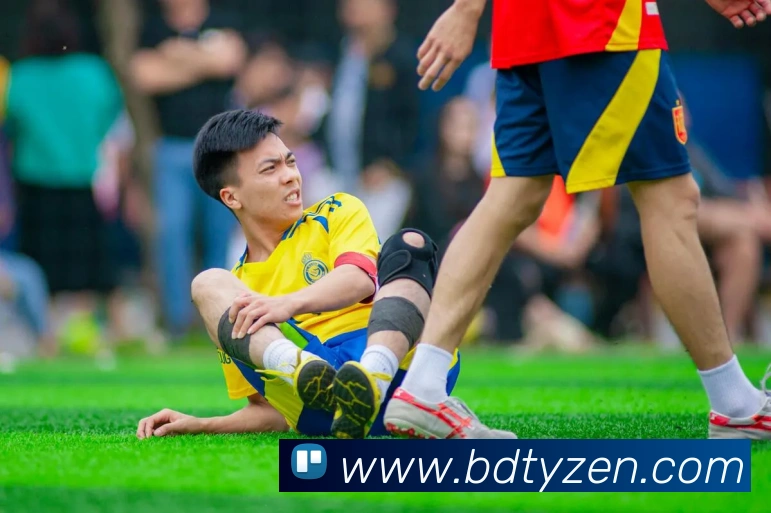 半岛体育服务体系